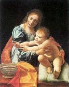 BOLTRAFFIO, Giovanni Antonio The Virgin and Child 1 oil